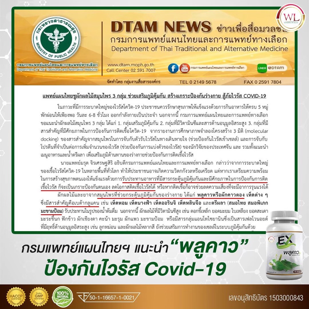 เสริมภูมิคุ้มกันให้ร่างกาย-ด้วย-ex-พลูคาวสมุนไพรไทย-ผสานมะขามป้อมและยีสเบต้ากลูแคน