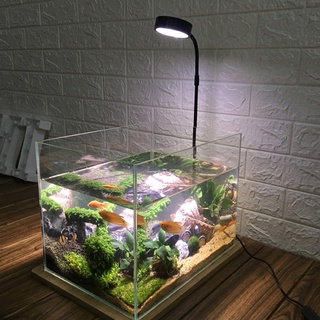 ภาพขนาดย่อของภาพหน้าปกสินค้าไฟภูมิทัศน์ขนาดเล็ก 10W LED เติมแสงพิพิธภัณฑ์สัตว์น้ำพืชแสง USB เติมแสง ไฟเติมพืช จากร้าน cu95r7tyev บน Shopee ภาพที่ 3