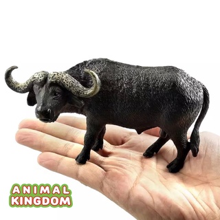 Animal Kingdom - โมเดลสัตว์ ควายป่า ขนาด 13.00 CM (จากหาดใหญ่)