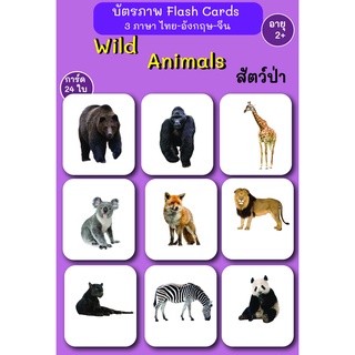 บัตรภาพ Flash Cards สัตว์ป่า