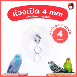 ห่วงขานก ห่วงเปิดคล้องขานก 4 mm🔥พร้อมส่ง!!!🦜ห่วงขานกแก้ว ฟอพัส หงษ์หยก