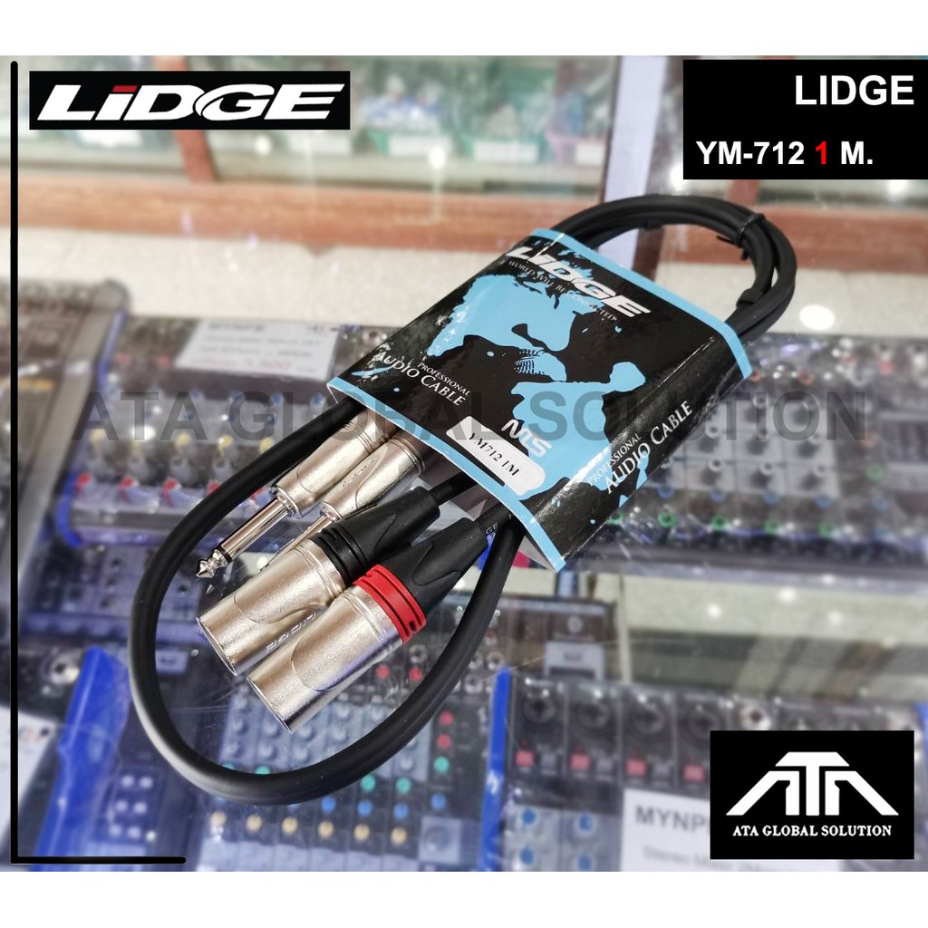 LIDGE YM-712 ( 1 เมตร ) สาย P.CANNON - P.MIC ข้างละ2 หัว NTS สายสัญญาณ ...