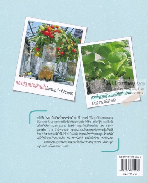 hydroponic-ปลูกผักด้วยน้ำแบบง่าย