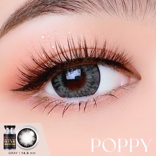 Poppy Gray / Morning / Gift บิ๊กอาย สีเทา เทา ตัดขอบดำ ตาโต โทนแบ๊ว Wink Lens คอนแทคเลนส์ Bigeyes Contact Lens ค่าสายตา