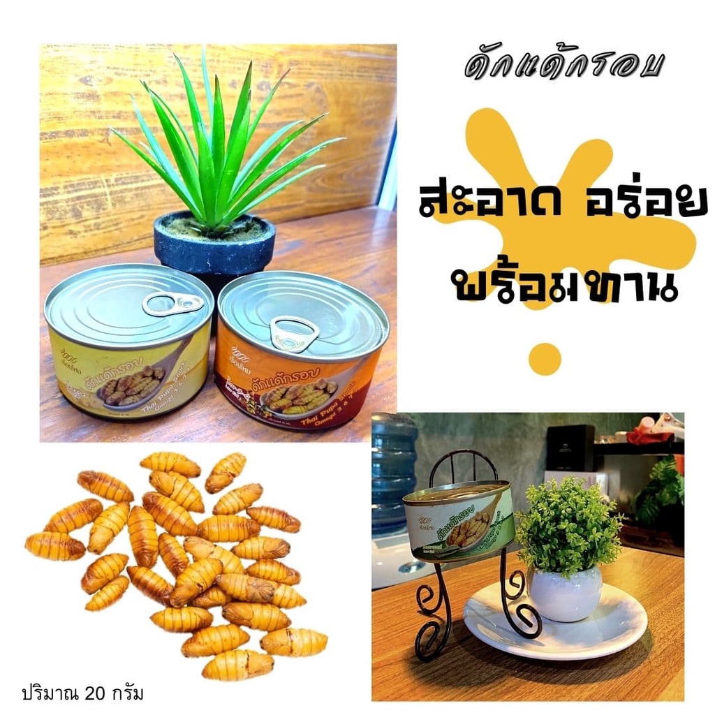 ภาพหน้าปกสินค้าพร้อมส่ง  ดักแด้ ดักแด้กรอบ ดักแด้กระป๋องอบกรอบ 3 รส อร่อยลืมโลก จากร้าน surin_local_fresh บน Shopee