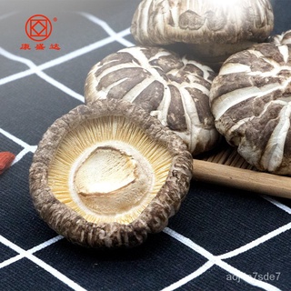 康旺 Gutian Flower Mushroom Bindu Flower Mushroom เห็ดแห้ง500g ZNBR
