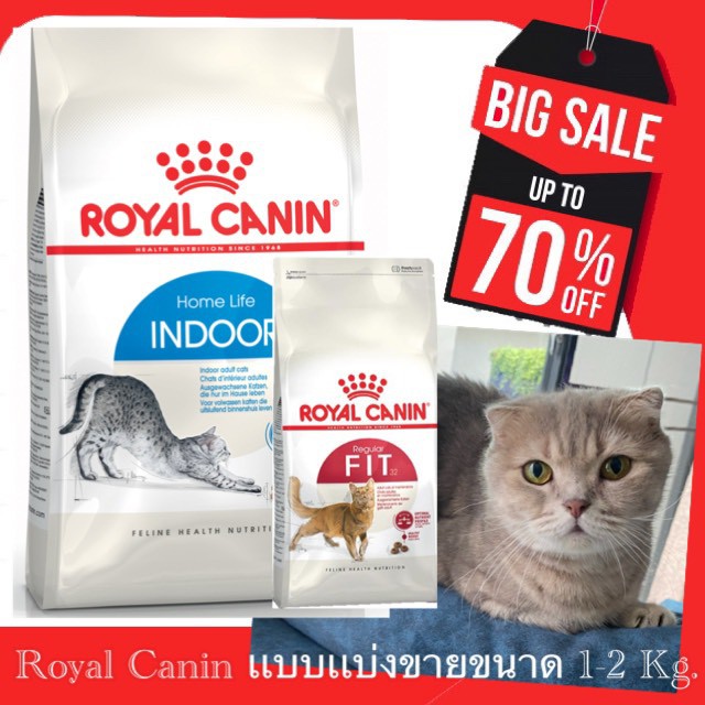 เเบ่งขาย-1-kg-royal-canin-fit-32-สูตร-indoor-amp-baby-cat-อาหารแมวแบบเม็ด-สำหรับแมวโตรูปร่างดี-อายุ-1-ปีขึ้นไป