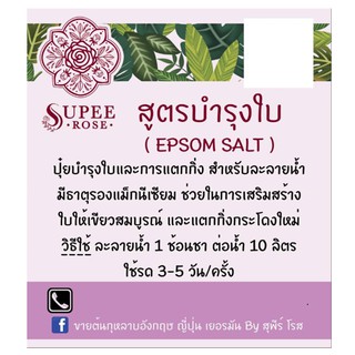 เหลือ 6.- โค้ด SEPIKE85 ปุ๋ยสูตรบำรุงใบ จากสุพีร์ การ์เด้น