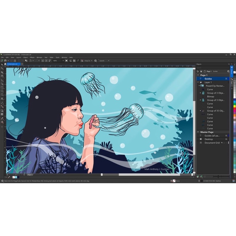 coreldraw-graphics-suite-2019-full-macos-โปรแกรมออกแบบกราฟิก-1-dvd