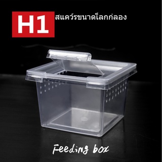 H1ปีนเขาสัตว์เลี้ยงงูหลามแมงมุมตุ๊กแกกล่องจิ้งจกแมงป่องตะขาบเขากบตุ๊กแกด้วงแมลงกล่องเพาะพันธุ์