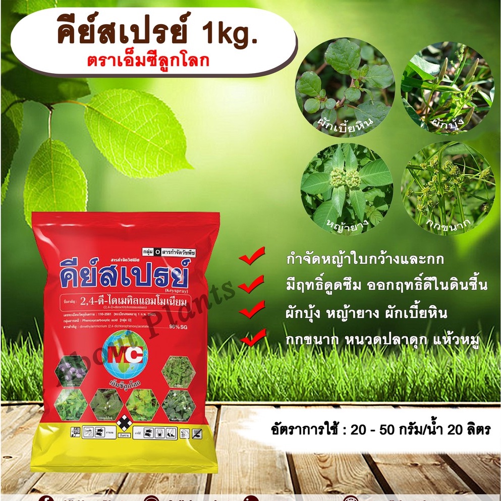 คีย์สเปรย์-1kg-ตราเอ็มซีลูกโลก-24ดี-โซเดียม-แบบเกล็ด-ทูโฟดี-สารกำจัดหญ้า-กำจัดวัชพืช-แบบดูดซึม-ใบกว้าง-allaboutplants