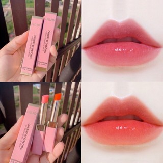 ภาพหน้าปกสินค้าลิปสติก hojo Lipstic ลิปบาล์ม ลิปสติก ลิปกลอส ลิปมัน สไตล์เกาหลี ปากชุ่มฉ่ำ มันวาว ไม่ติดแก้ว สีสวยติดทนนาน ที่เกี่ยวข้อง