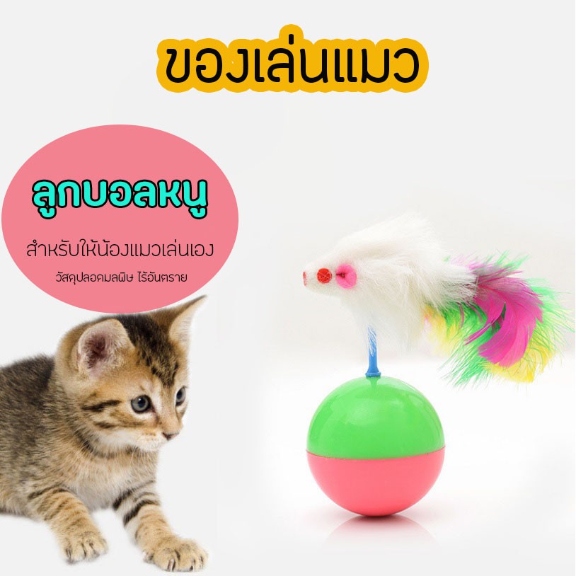 ของเล่นแมวหนูติดลูกบอล-cudy-club-โยน-กลิ้งล้มลุก-เล่นสนุก-หยุดไม่ได้