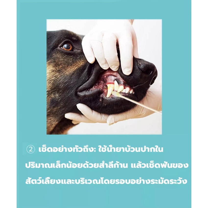 น้ำยาดับกลิ่นปากสุนัข-สเปรย์ดับกลิ่นปากสุนัข-สเปรย์ดับกลิ่นปากแมว-ดับกลิ่นปากสัตว์เลี้ยง-ขจัดคราบพลัคสูตรธรรมชาติ-น้ำยาล