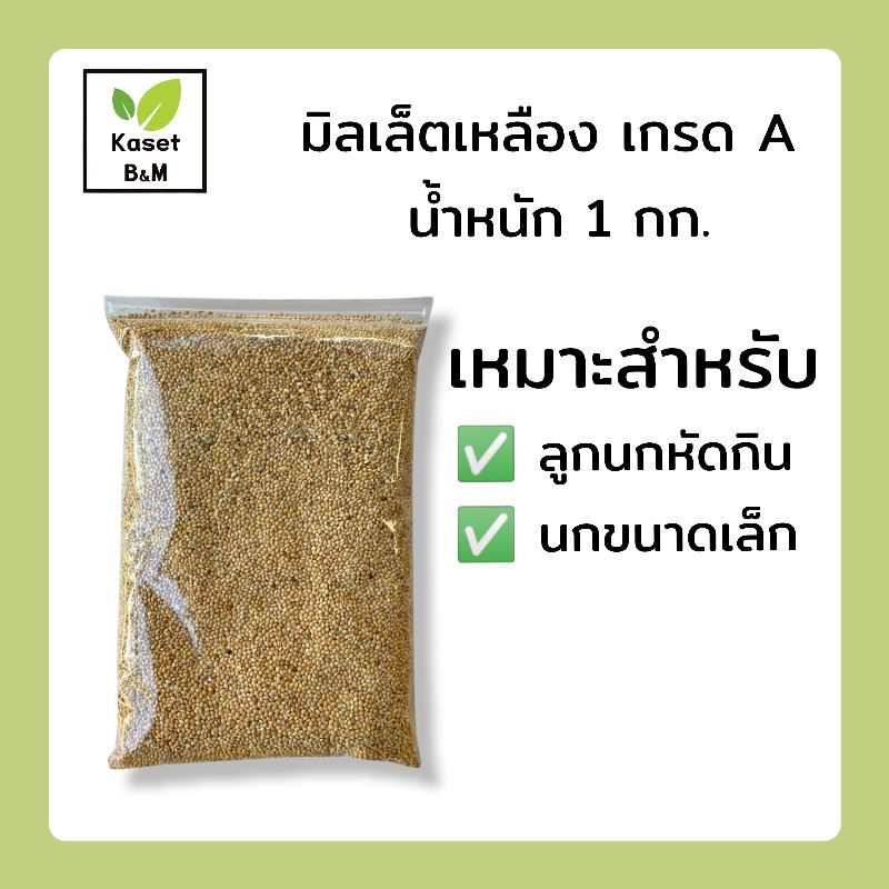 ราคาและรีวิวมิลเล็ตเหลือง อาหารนก เกรด A ขนาด 1 กิโลกรัม