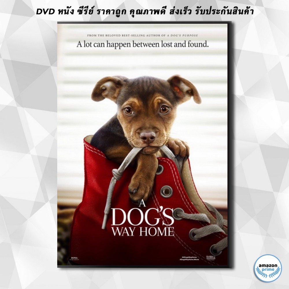ดีวีดี-a-dogs-way-home-2019-เพื่อนรักผจญภัยสี่ร้อยไมล์-dvd-1-แผ่น