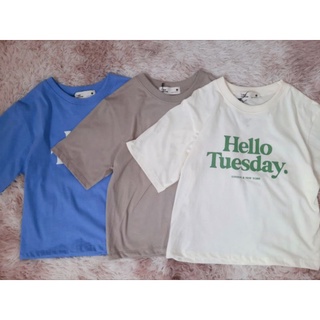 Kawaii​ เสื้อคอกลมผ้าคอตต้อน​ พิมพ์ลาย​ Hello​ Tuesday