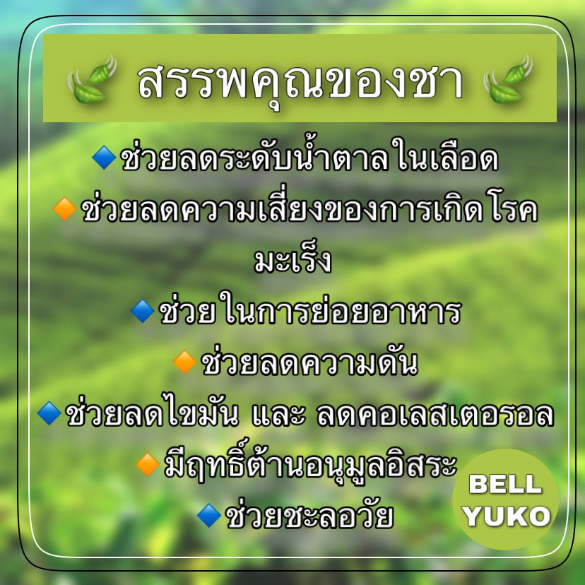 ชาอู่หลง-ชามะลิ-ชาแดง-แบบซองชง-20-ซอง