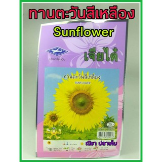 เมล็ดพันธุ์ ทานตะวัน สีเหลือง sunflower แตกแขนงดี ดูแลน้อย ต้นแข็งแรง ปลู（นี่มันเมล็ดพืช ไม่ใช่พืช!）