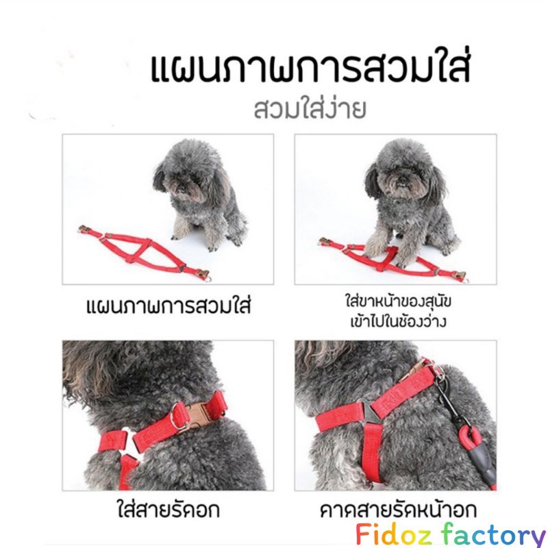 ภาพสินค้าFidoz​ factory​ สายจูงสัตว์​เลี้ยง​ รัดอกสุนัขและแมว​ เชือกจูงสุนัข​ สายจูงหมาใหญ่ จากร้าน fidoz_factory99 บน Shopee ภาพที่ 5