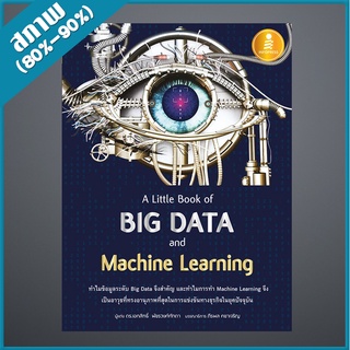 A Little Book of Big Data and Machine Learning (4871380)