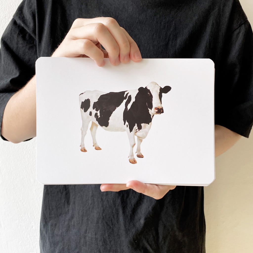 แฟลชการ์ดสัตว์ในฟาร์ม-แผ่นใหญ่-flash-card-farm-animals-kp014-vanda-learning