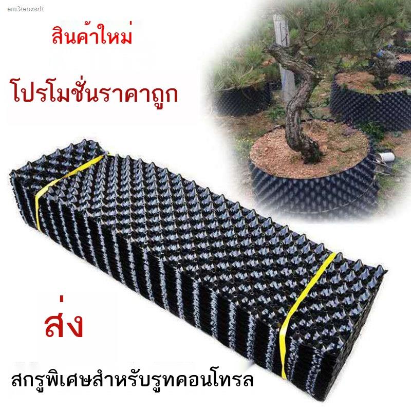กระถาง air pot Plant root controller ปลูกรั้วต้นไม้ root controller ...