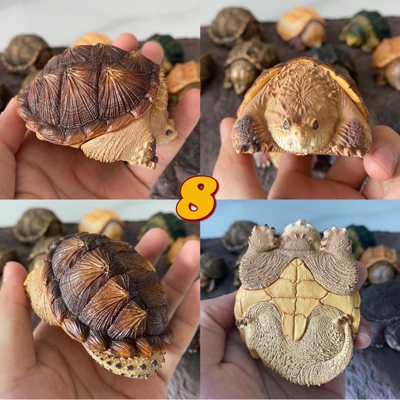 bighead series snipping turtle figurines โมเดลเต่าตัวเล็ก | Shopee Thailand