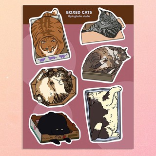 ภาพหน้าปกสินค้าสติ๊กเกอร์แผ่น สติกเกอร์ ไดคัท กันน้ำ ลายแมว Boxed Cat Meme Sticker Sheet แบรนด์ Chonky Goods by Ping Hatta. Studio ที่เกี่ยวข้อง