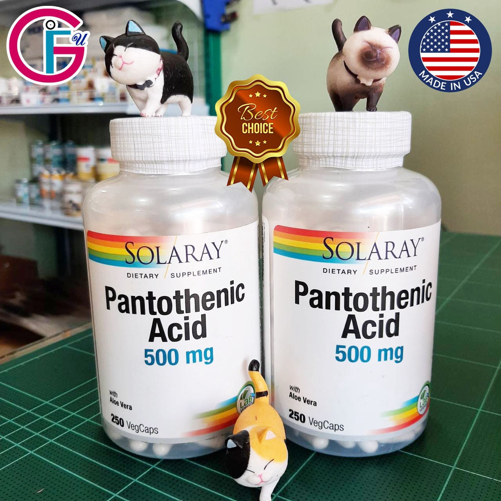 ภาพหน้าปกสินค้าPantothenic Acid ( กรดแพนโทเทนิก ) Solaray B5 500 mg 250 Veggie Caps / Exp : 09/24 พร้อมส่ง จากร้าน get.for.you. บน Shopee