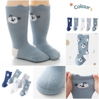 PD-sock ถุงเท้าเด็ก ลายน่ารัก ผ้านิ่มใส่สบาย สินค้าพร้อมส่ง