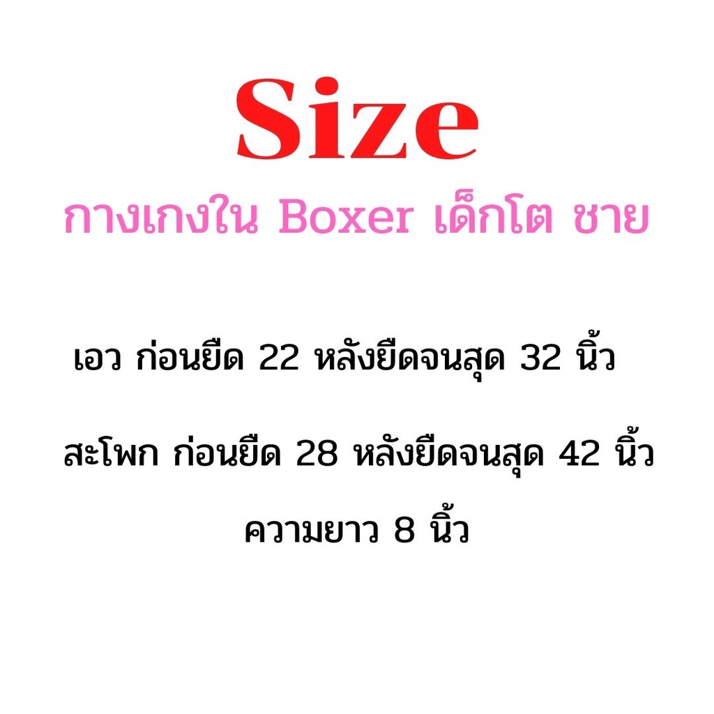 ลดล้างสต๊อก-กางเกงในบ็อกเซอร์-กางเกงในเด็กชาย-กางเกงในชาย-boxer-10-ตัว-คละสี