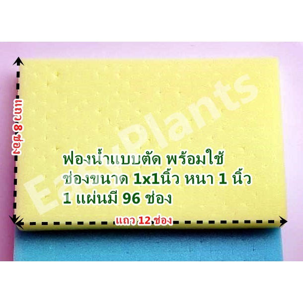 ฟองน้ำปลูกผักไฮโดร-แบบตัดแล้ว-พร้อมใช้-ขนาด-1x1-นิ้ว