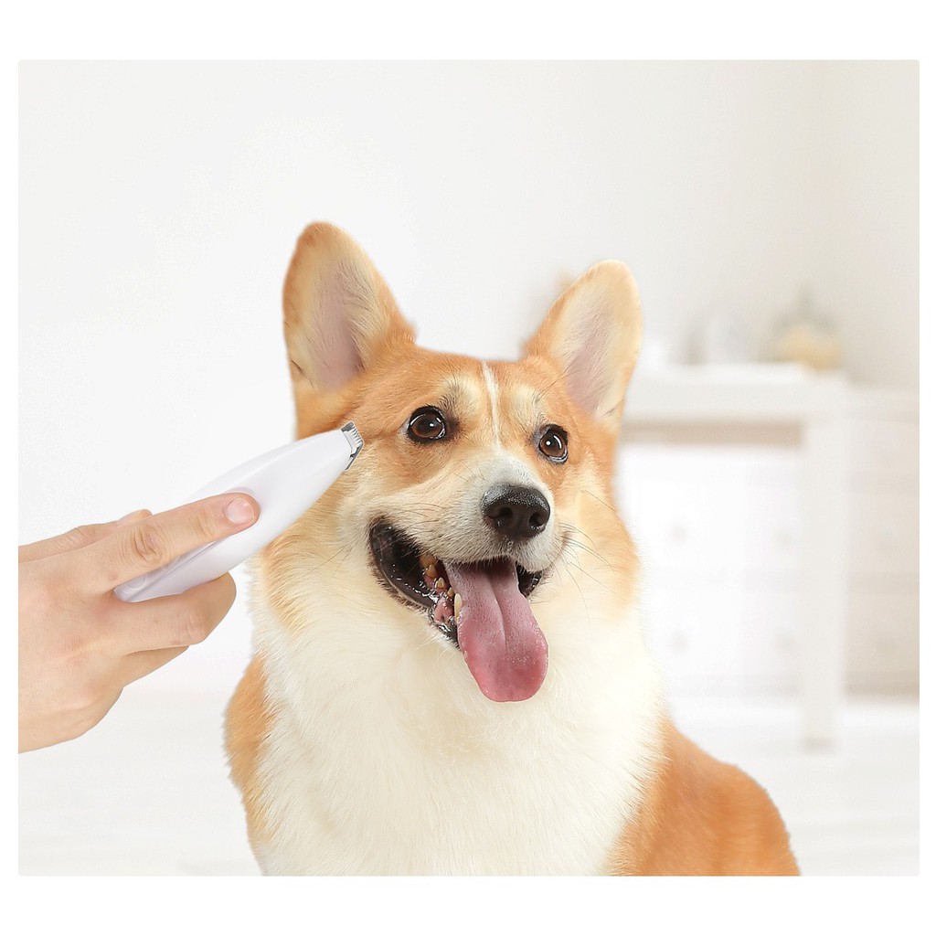 pawbby-pet-local-shaver-ปัตตาเลี่ยนไฟฟ้าสุนัขแมวแมวโกนขนสุนัขไฟฟ้าเฟดเดอร์ซ่อมปัตตาเลี่ยนตัดผม
