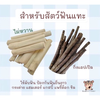 ภาพหน้าปกสินค้าไผ่หวาน กิ่งแอปเปิล ลับฟันสำหรับสัตว์เลี้ยงฟันแทะทุกชนิด ที่เกี่ยวข้อง