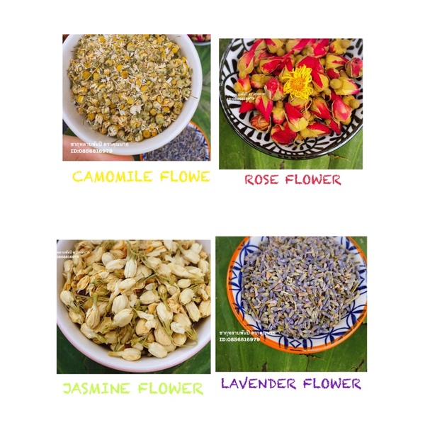 ชาดอกไม้เพื่อสุขภาพ-ดอกลาเวนเดอร์-ดอกเก็กฮวย-ดอกคาโมมายล์-เก๋ากี้ดำ