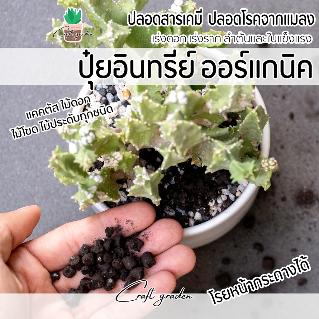 ปุ๋ยอินทรีย์-ปุ๋ยออร์แกนิค-สูตรละลายช้า-ปลอดภัยไร้สารเคมี-ดีต่อใจ-ดีต่อกาย