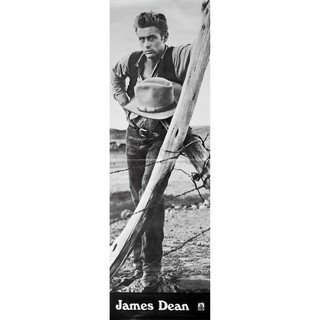 โปสเตอร์ ดารา หนัง ไจแอนท์ เจมส์ ดีน Giant 1956 POSTER 20”x61” Inch James Dean