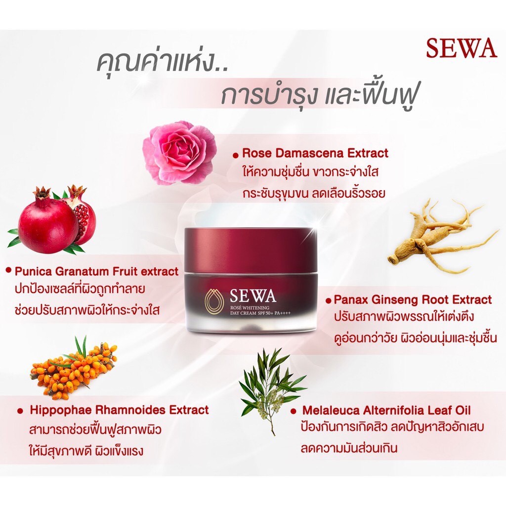 sewa-เซวาน้ำโสม-เซวาเซรั่ม-เซวาเดย์ครีม