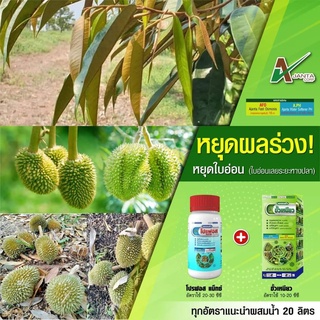 เอเจนต้า โปรฟอส แม็กซ์ หยุดผลร่วง หยุดใบอ่อน (ใบอ่อนเลยระยะหางปลา) ทุเรียน (ขนาด 1 ลิตร + 1 ลิตร)