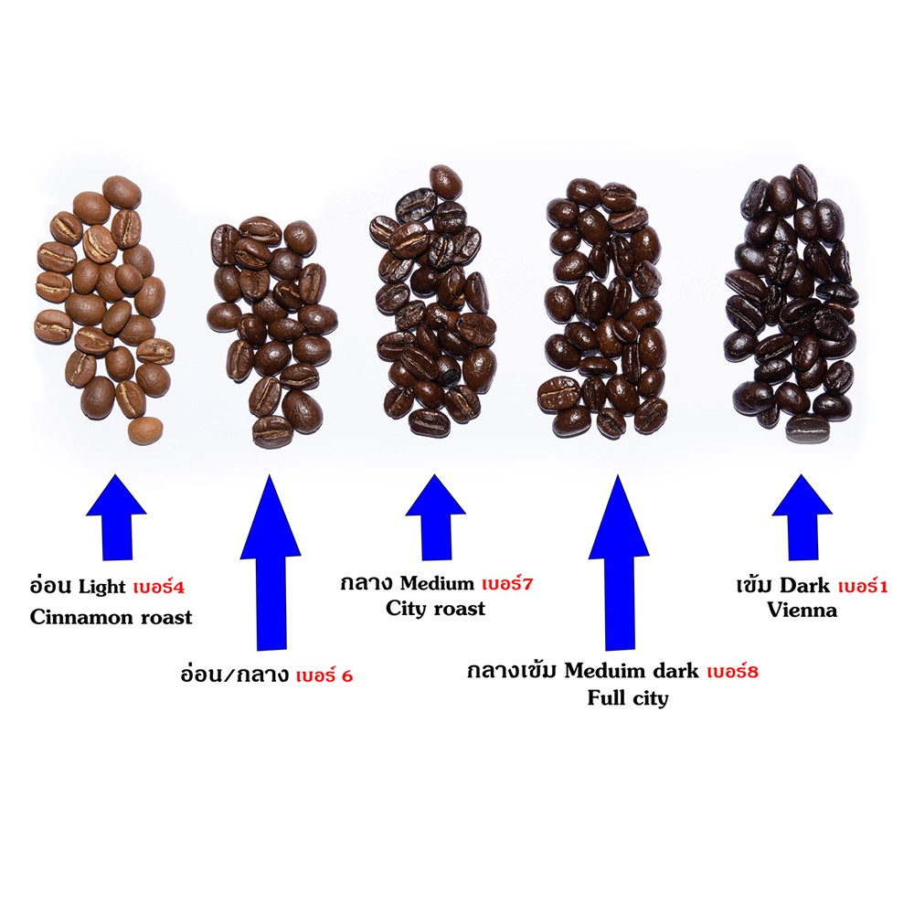 เมล็ดกาแฟคั่วลำปาง-ออร์แกนิค-100-กรัม-ถุงฟอยด์