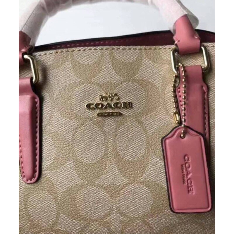 coach-mini-sage-carryall-in-signature-bag