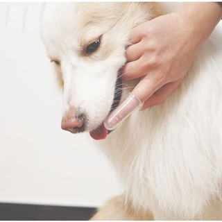 AL-041 แปรงฟันซิลิโคนสำหรับสัตว์เลี้ยง แปรงสีฟันสุนัข หมา แมว แบบสวมนิ้วมือ แปรงสวมนิ้ว