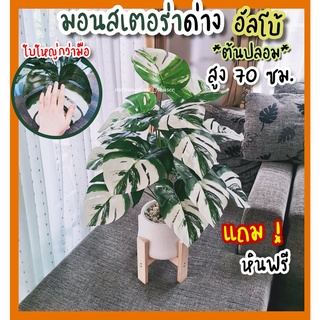 ต้นมอนสเตร่าด่างอัลโบ้ สูง70 cm ใบใหญ่! /** ต้นไม้ปลอม พร้อมกระถาง+แถมหินโรย!