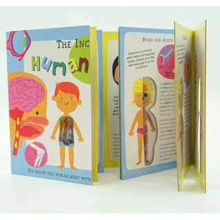 The Incredible Human Body หนังสือเด็ก ภาษาอังกฤษ บอร์ดบุ๊ค