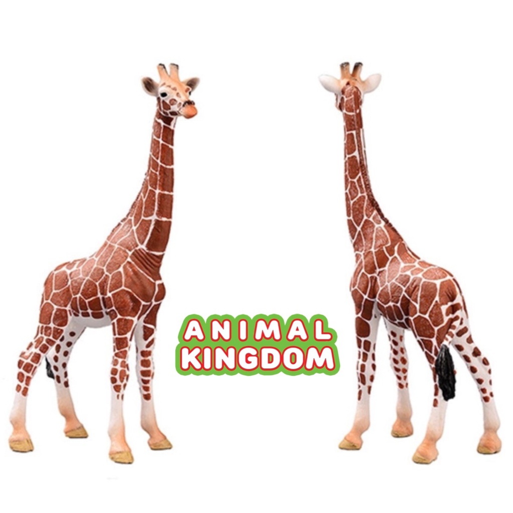 animal-kingdom-โมเดลสัตว์-ยีราฟ-ขนาด-17-00-cm-จากหาดใหญ่