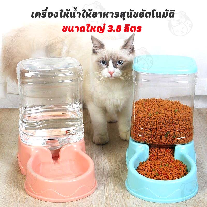 เครื่องให้อาหารแมวอัตโนมัติ-ที่ให้อาหารอัตโนมัติ-เครื่องให้อาหาร-ชามข้าว-ชามอาหาร-หมา-แมว-อัตโนมัติ-3-8-ลิตร