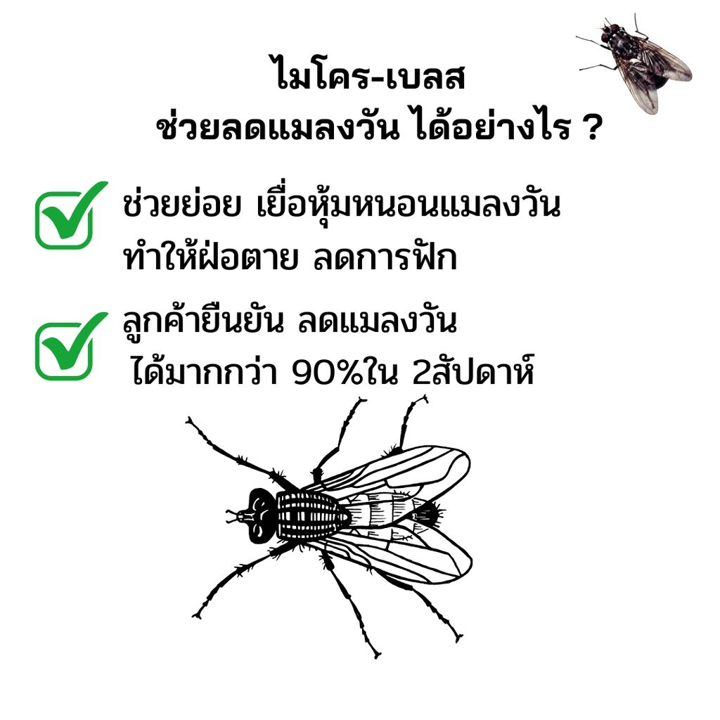 จุลินทรีย์ไล่แมลงวัน-จุลินทรีย์-ทดแทน-น้ำยากำจัดแมลงวัน-ใช้แทน-ยาฆ่าแมลงวัน-ลด-แมลงวัน-คล้าย-จุลินทรีย์-em-ส่งฟรี