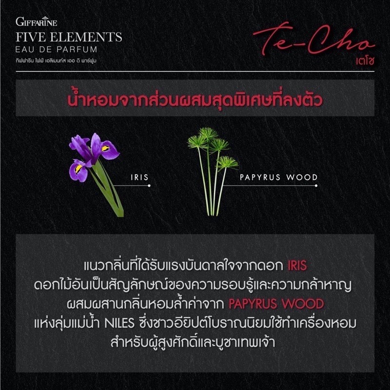 น้ำหอม-ไฟฟ์-เอลิเมนท์ส-กลิ่นเตโช-ธาตุไฟ