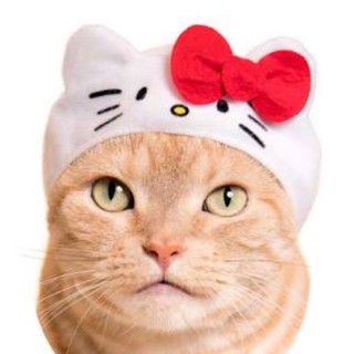 หมวกน้องแมว/สุนัขเล็ก ลาย Hello Kitty